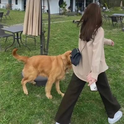 光海，成为王的男人